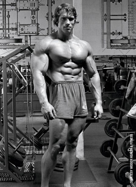 Ismeretlen Arnold