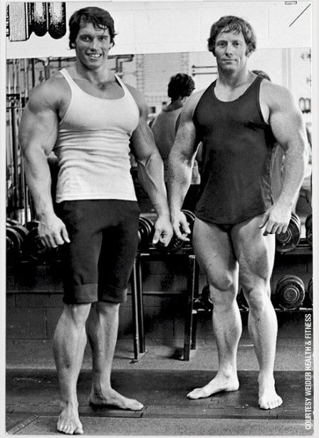 Arnold testvére