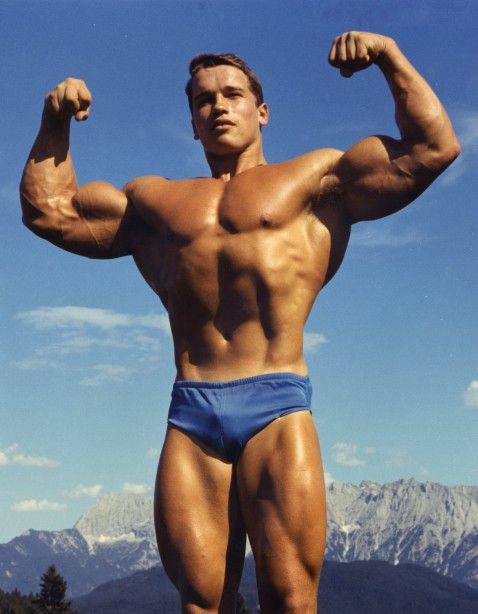 Arnold fogdában