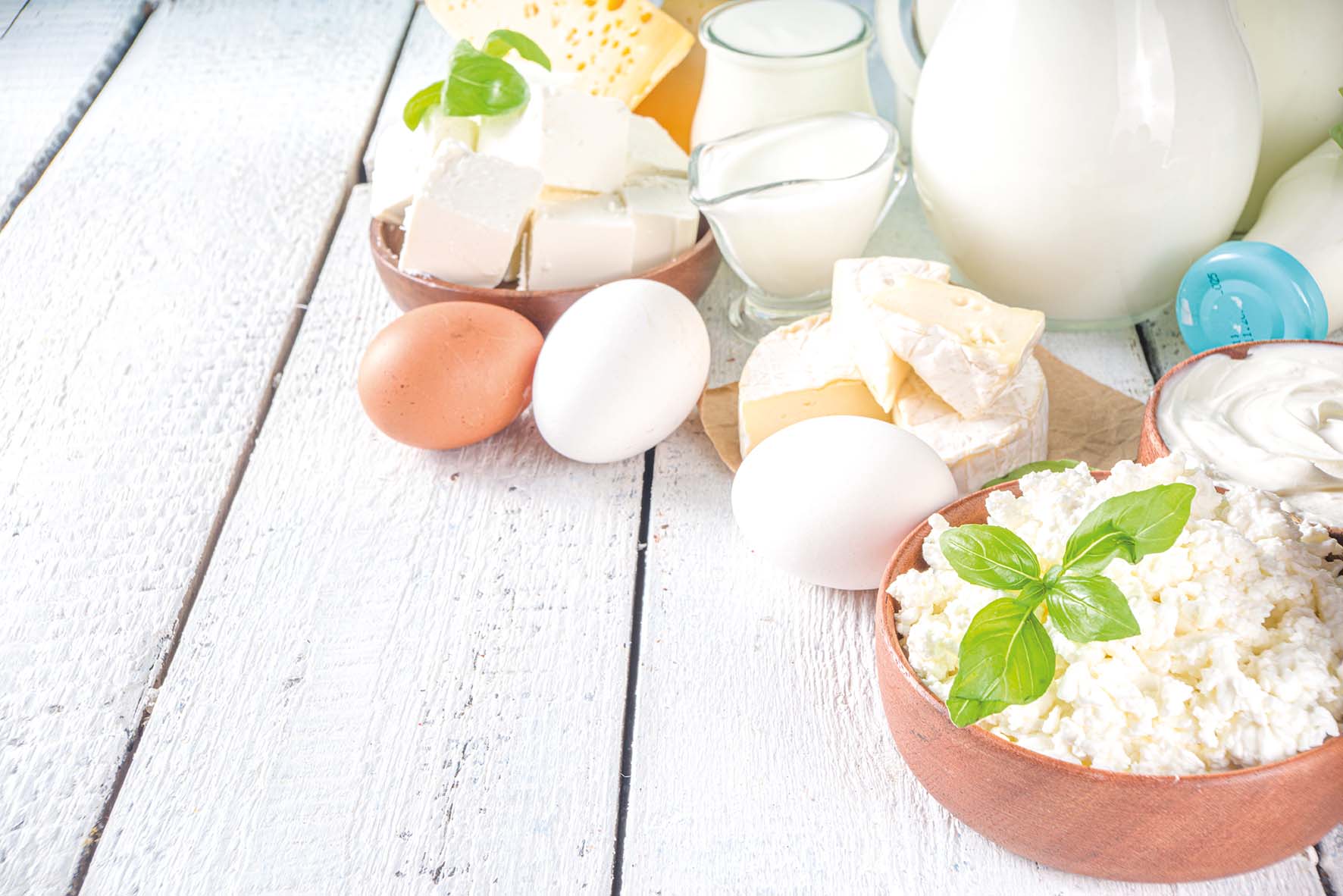Set of Various Fresh Dairy Products - milk, cottage cheese, cheese, eggs, yogurt, sour cream, butter on wooden background