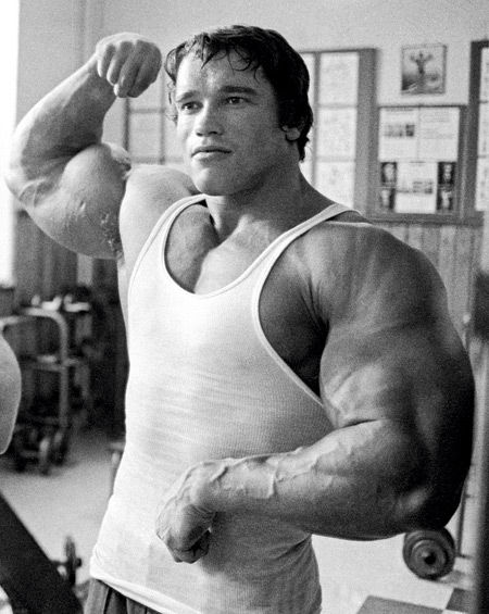 Arnold-Arms-4.jpg
