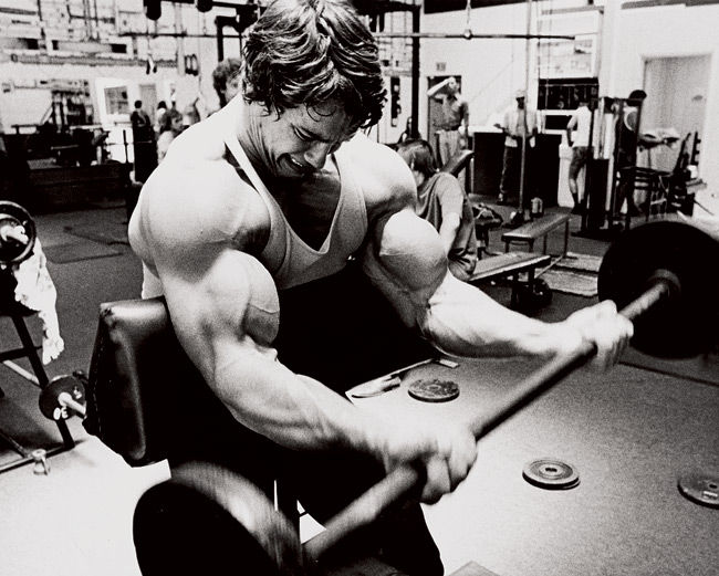 Arnold-Arms-5.jpg