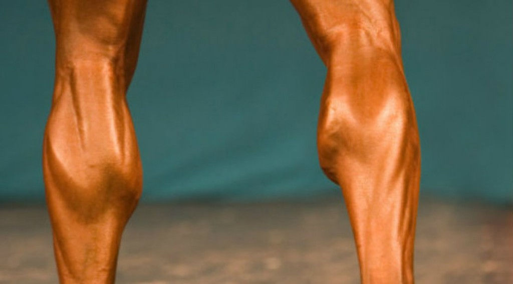 Calves_2_0.jpg