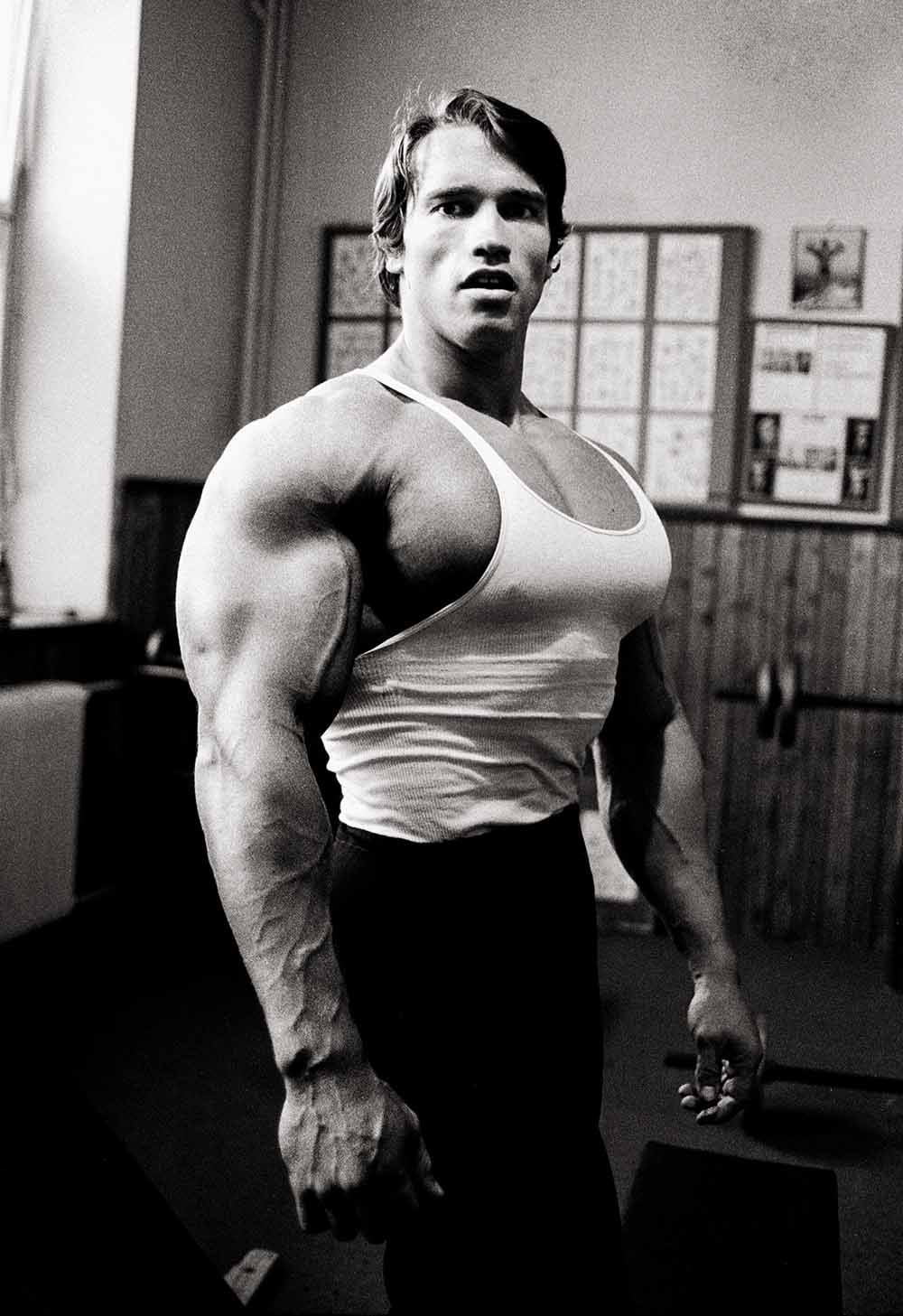 arnold4