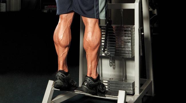 calf-raises_0.jpg