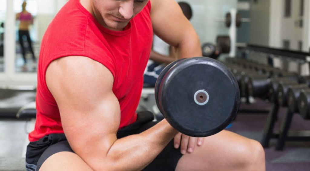 concentration-curl.jpg