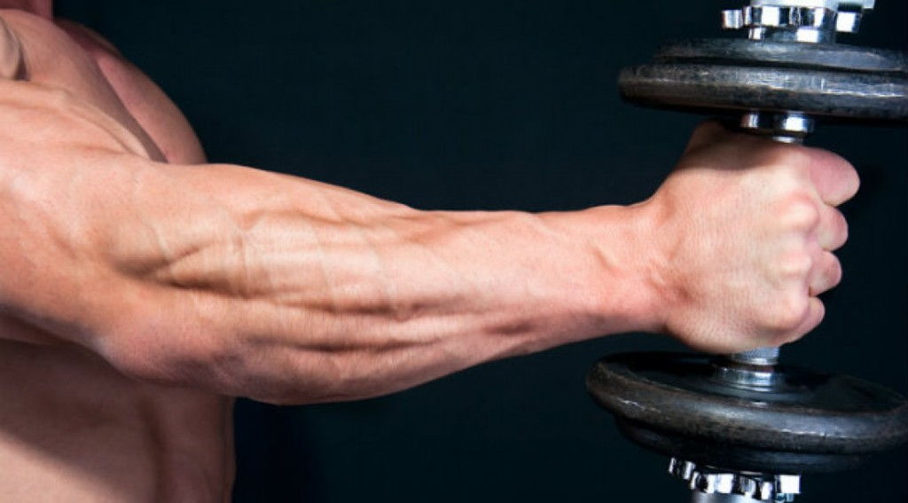 forearm_8.jpg