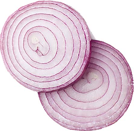 onion 4 copy