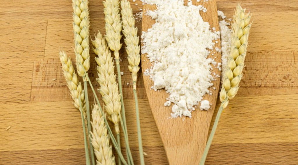 wheat-germ.jpg